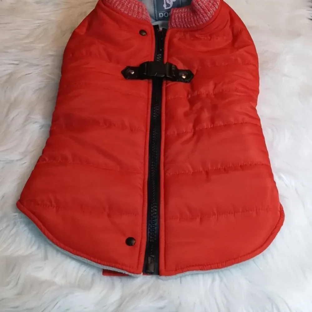DOGO new york size xxl